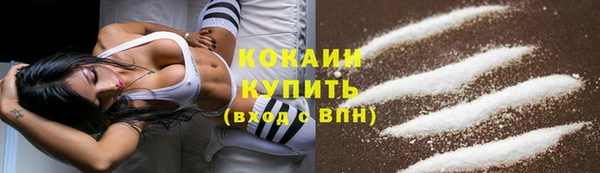 бошки Гусь-Хрустальный
